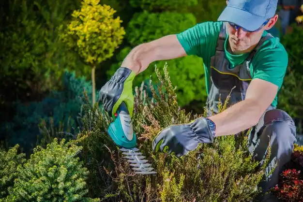 landscaping services Chadron